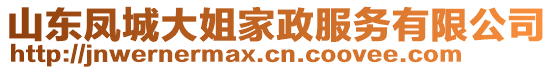 山東鳳城大姐家政服務有限公司