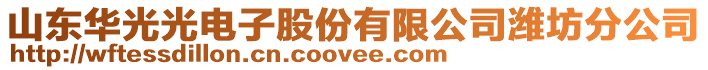 山東華光光電子股份有限公司濰坊分公司