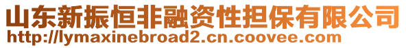 山東新振恒非融資性擔(dān)保有限公司