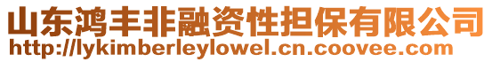 山東鴻豐非融資性擔保有限公司