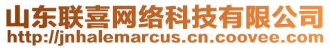 山東聯(lián)喜網(wǎng)絡科技有限公司