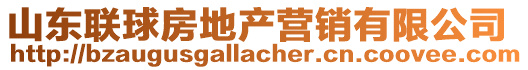 山東聯(lián)球房地產(chǎn)營(yíng)銷有限公司