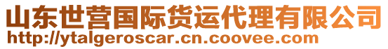 山東世營國際貨運(yùn)代理有限公司