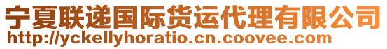 寧夏聯遞國際貨運代理有限公司