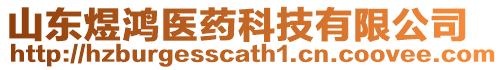 山東煜鴻醫(yī)藥科技有限公司