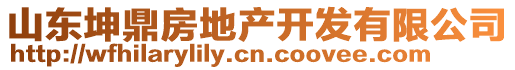 山東坤鼎房地產(chǎn)開發(fā)有限公司