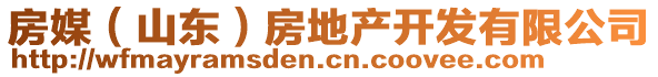 房媒（山東）房地產(chǎn)開(kāi)發(fā)有限公司