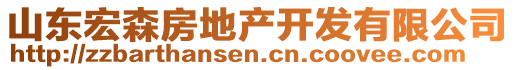 山東宏森房地產(chǎn)開發(fā)有限公司