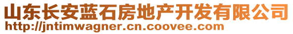 山東長(zhǎng)安藍(lán)石房地產(chǎn)開(kāi)發(fā)有限公司