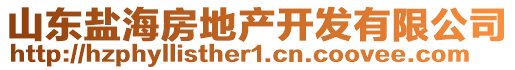 山東鹽海房地產(chǎn)開發(fā)有限公司