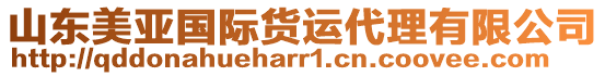 山東美亞國際貨運代理有限公司