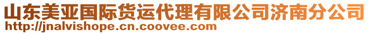 山東美亞國(guó)際貨運(yùn)代理有限公司濟(jì)南分公司