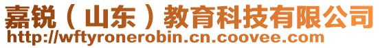 嘉銳（山東）教育科技有限公司