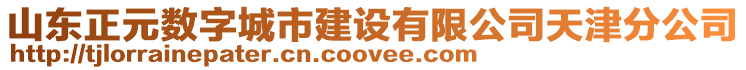 山東正元數(shù)字城市建設(shè)有限公司天津分公司