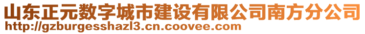 山東正元數(shù)字城市建設(shè)有限公司南方分公司