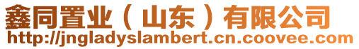 鑫同置業(山東)有限公司