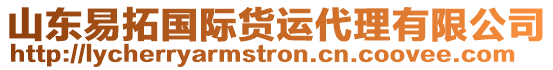 山東易拓國(guó)際貨運(yùn)代理有限公司