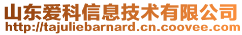 山東愛(ài)科信息技術(shù)有限公司