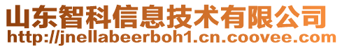 山東智科信息技術有限公司