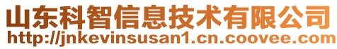 山東科智信息技術(shù)有限公司