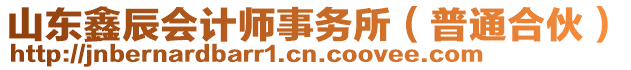 山東鑫辰會計師事務(wù)所（普通合伙）