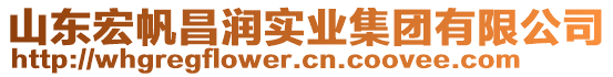 山東宏帆昌潤實業(yè)集團有限公司