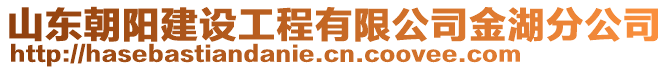 山東朝陽建設(shè)工程有限公司金湖分公司