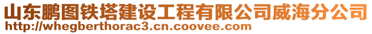 山東鵬圖鐵塔建設(shè)工程有限公司威海分公司