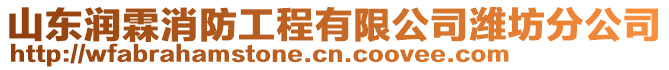 山東潤(rùn)霖消防工程有限公司濰坊分公司