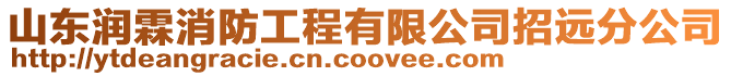 山東潤霖消防工程有限公司招遠分公司