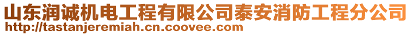 山東潤誠機電工程有限公司泰安消防工程分公司