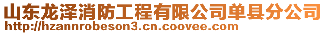 山東龍澤消防工程有限公司單縣分公司
