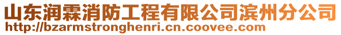 山東潤霖消防工程有限公司濱州分公司