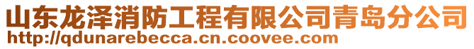 山東龍澤消防工程有限公司青島分公司