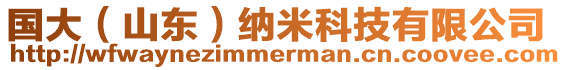 國大(山東)納米科技有限公司