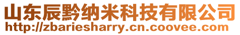 山東辰黔納米科技有限公司