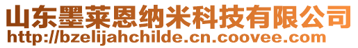 山東墨萊恩納米科技有限公司