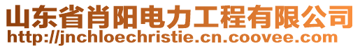 山東省肖陽電力工程有限公司