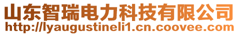 山東智瑞電力科技有限公司