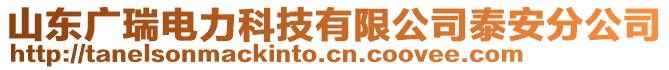 山東廣瑞電力科技有限公司泰安分公司