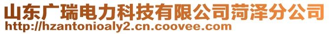 山東廣瑞電力科技有限公司菏澤分公司