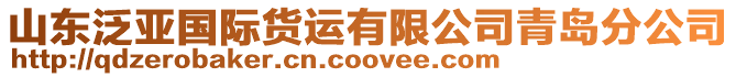 山東泛亞國際貨運有限公司青島分公司