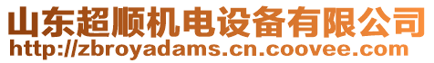 山東超順機(jī)電設(shè)備有限公司