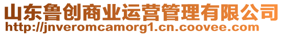 山東魯創(chuàng)商業(yè)運(yùn)營管理有限公司