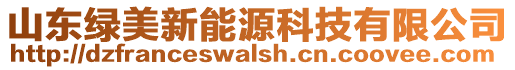 山東綠美新能源科技有限公司