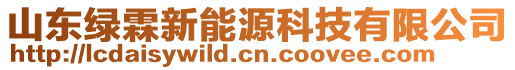 山东绿霖新能源科技有限公司