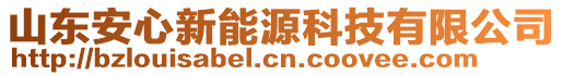 山东安心新能源科技有限公司