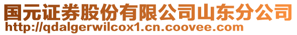 國(guó)元證券股份有限公司山東分公司