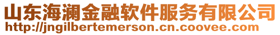 山東海瀾金融軟件服務(wù)有限公司