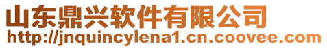 山東鼎興軟件有限公司
